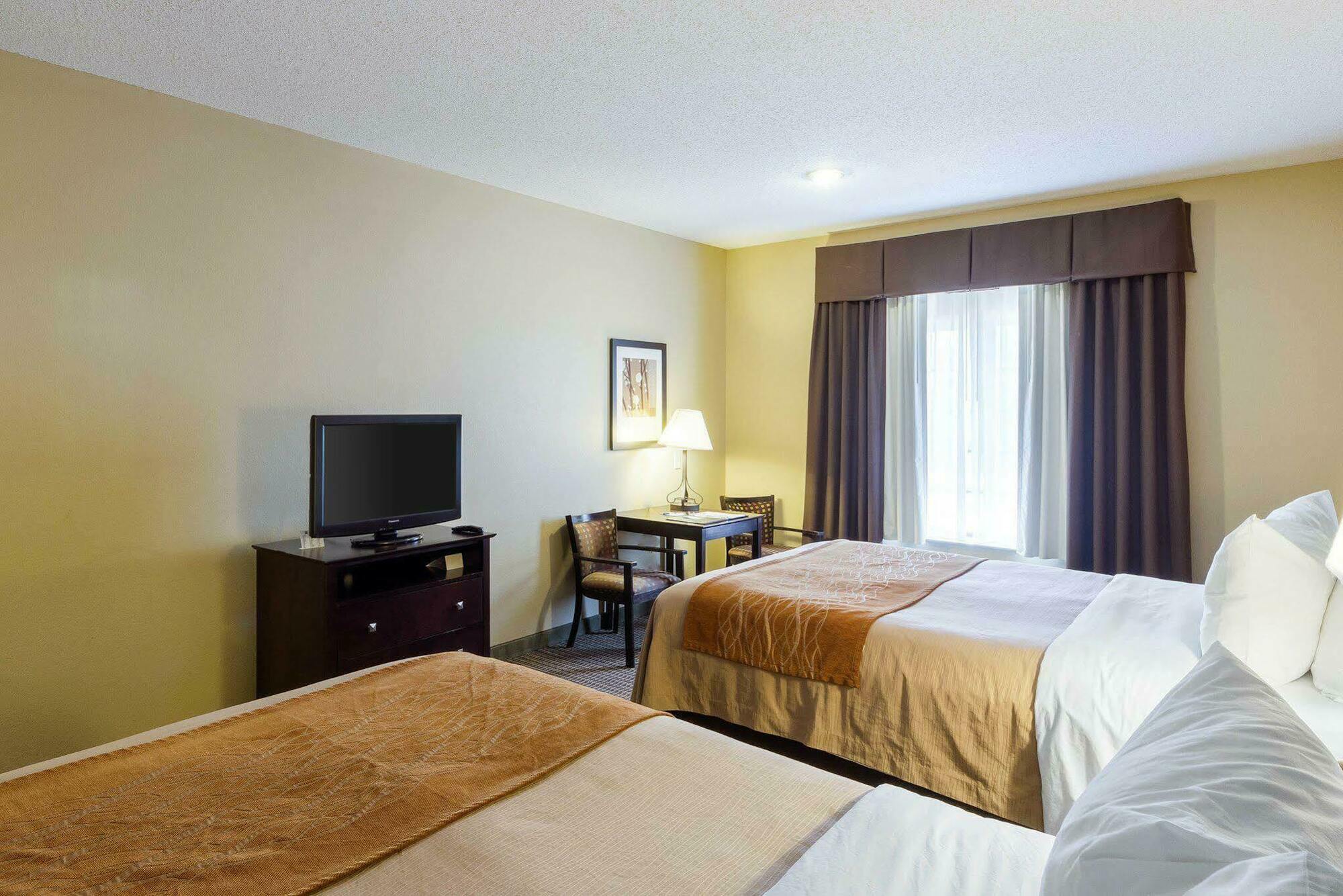 Comfort & Hotel Burnet